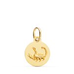 Colgante horoscopo oro 18k.